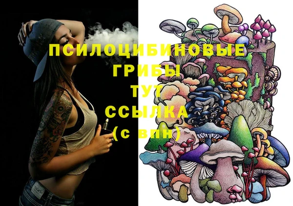 метадон Заводоуковск